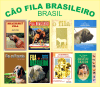 CAFIB - Clube de Aprimoramento do Fila Brasileiro
